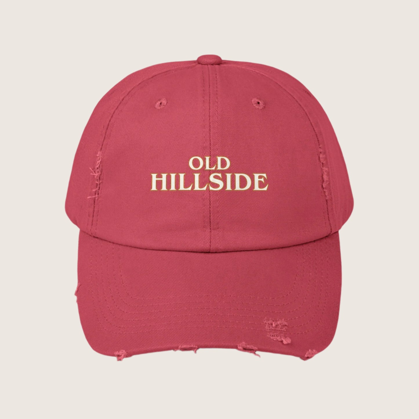 Unisex Distressed Cap